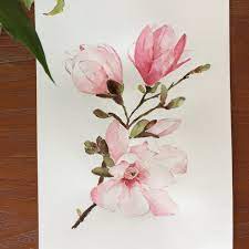 Magnolia Watercolor Painting Magnolia Flowers Watercolor Floral Art Mississippi Flower Pink Magnolia Painting Botanical Flowers Art Flower Art Flower Painting Flower Drawing