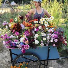 How to arrange grocery store flowers. Workshop Praise Floret Flowers