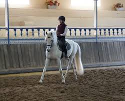 Horsemanship How-To: Sit The Canter Comfortably - Horse Illustrated