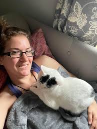 Adopting a kitten from dchs rescue