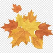 Check spelling or type a new query. Musim Gugur Yang Kreatif Kreatif Musim Gugur Daun Maple Png Pngegg