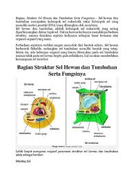 Organ tubuh makhluk hidup bisa bekerja dengan baik karena adanya sistem kerja sel di dalamnya. Bagian