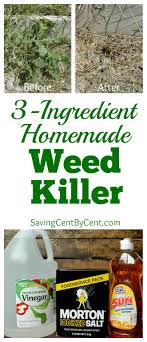 3 Ingredient Homemade Weed Killer Saving Cent By Cent