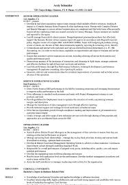 Operations Leader Resume Samples Velvet Jobs