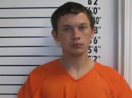 Oregon County Sheriff's Department & Alton Police Activity Summary