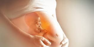 Tôt ou tard, vous aurez ce ventre de femme enceinte et ce sera fascinant pour vous de voir à quel point votre corps change. Le Developpement De Bebe Dans Votre Ventre Pendant La Grossesse Femmezine Fr