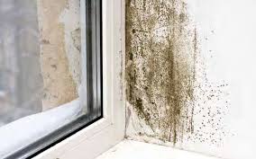 Schimmelpilze sind eine pilzart, die natürlich an vielen orten wachsen, aber in deinem haus können sie ein gesundheitsrisiko darstellen und die luftqualität negativ beeinflussen. Schimmel In Haus Oder Wohnung Vermeiden