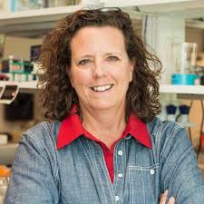 Bachelor of Science in Biochemistry