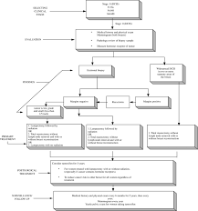 Although the percentage of cases in men is much lower than in women, male breast cancer accounts for a por. Algorithm Of Treatments For Dcis In Non Invasive Breast Cancer Download Scientific Diagram