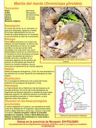 Maybe you would like to learn more about one of these? Ficha Monito Del Monte