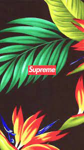 See more ideas about hypebeast, supreme clothing, supreme wallpaper. 45 Hypebeast Wallpaper Gold On Wallpapersafari