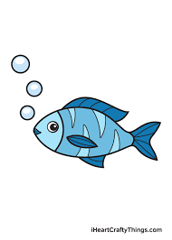 Drawing a fish in a lateral position is a good place to begin understanding the necessary features to sketch on a fish. Fish Drawing How To Draw A Fish Step By Step