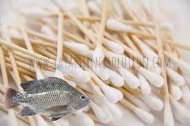 Cara Membuat Umpan Ikan Nila Babon Dengan Cotton Bud Sangat Simple Dan Ampuh Untuk Mancing Di Tepi Danau Atau Sungai Dengan Arus Tidak Terlalu Deras Babon Ikan