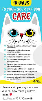 How do cats show love? 10 Ways To Show Your Cat You Care Provide A Stress Free Feline Friendly Indoor Environment Provide Appropriate Climbing And Scratching Surfaces Learn How Your Cat Communicates Feed Your Cat Like A True