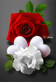 Pin By Mubarak M Amin On Rozsak Beautiful Rose Flowers Rare Flowers Flower Phone Wallpaper