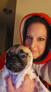 Happy new year 🥳 have a pugtastic 2025 🫶🏼