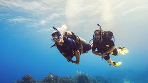 It will be one of four aquatic sports at t. Scuba Diver Padi