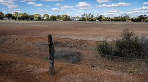 No. 1 Rabbit Proof Fence (2026) - All You MUST Know Before You Go (with  Reviews)