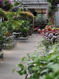 Lyndegreenhouse has the lowest google pagerank and bad results in terms of yandex topical citation. Lynde Greenhouse Nursery