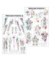 Kent Trigger Point Charts Trigger Point Chart
