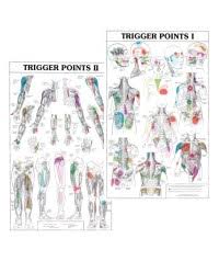 kent trigger point charts trigger point chart