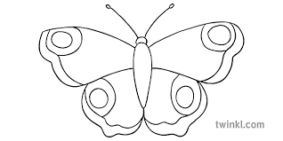 The drawing used to be made with a single color or mixture of mundane ideas. How To Draw A Butterfly Step 5 Art And Design Insects Animals Ks1
