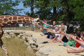 The arctic fox is a member… Timbavati Wildlife Park Free Admission Included The Vue