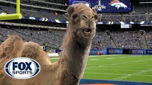 Reviewing the commercials from the 1st half. Geico Camel Is The New Fox Sports Sideline Reporter Part 2 Youtube