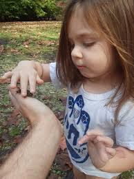 Frog enjoying warm afternoon slumber
