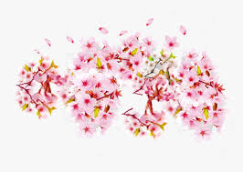 Check spelling or type a new query. Transparent Cherry Blossom Png Bunga Sakura Png Transparent Png Download Kindpng