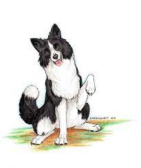 Most Recent Photos Border Collies Personality Style Border Collie Art Cartoon Border Collie Collie Illustration