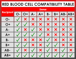 Blood Cell Compatibility Table Coolguides