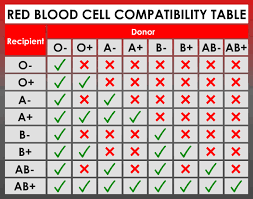 blood cell compatibility table coolguides