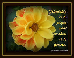 Jan 20, 2021 · it's easier than you think to grow beautiful flowers! Give The Best Friendship Flowers From Online Shop