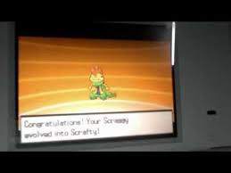 Shiny Scraggy Evolves Youtube