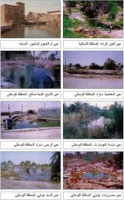 ســنــوات الــجــريــش أرشيف المدونة ورقة إحياء العيون الطبيعية في البحرين