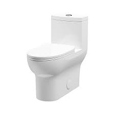 However, choosing the best dual flush toilet can be a considerable challenge due to the number of products available on the market today. Avianna One Piece Ceramic Toilet Sam S Club In 2021 Vintage Tub Vintage Tub Bath Toilet
