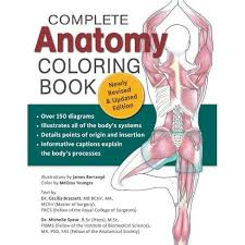 Find out why in this easy to understand anatomy lesson. Complete Anatomy Coloring Book Newly Revised And Updated Edition 2nd Edition By Dr Cecilia Brasset Dr Michelle Spear Paperback Target