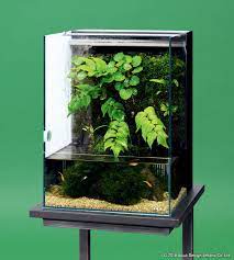 Dooa System Terra 30 Webshop Aquascaping Dwarf Shrimps Small Fish