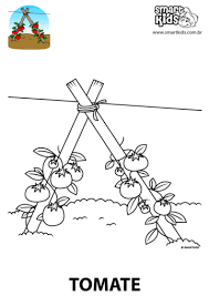 Governo bolsonaro 'homenageia' dia do agricultor com imagem de homem armado. Colorir Desenho Tomate Desenhos Para Colorir Smartkids