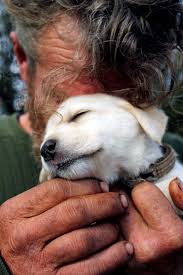 Proof That Dogs Love You No Matter How Much Money You Don T Have Komik Kopek Fotograflari Kopek Hayvanlar