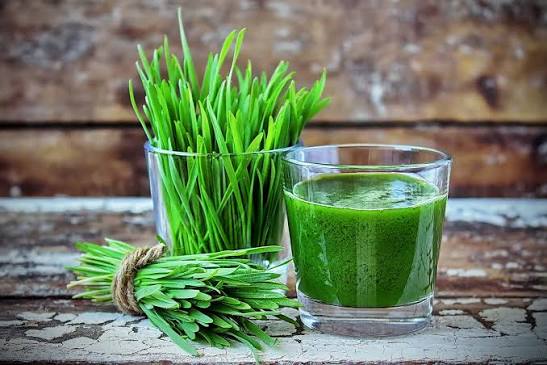 Wheat Grass