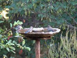 How often should you there are lots of other ways to clean a concrete bird bath. How To Build A Simple Bird Bath To Attract Birds Your Garden