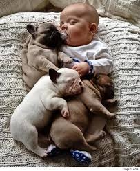 Babys Kuscheln Mit Tierbabys Tierbabys Niedliche Tierbabys Kinder Tiere