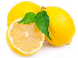 Best Natural Flea Remedies For Your Fur Kids Professional Pet Sitter And Dog Walker In Redondo Beach Ca