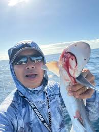 Possible to buy live bait In chaguaramas..evening time? 🤔