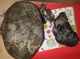 Se esclaviza a las civetas para que, con su proceso metabólico, le quiten el sabor amargo a la. Como Identificar El Ambar Gris El Color El Olor Las Pruebas De Ambar Gris