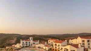 Image result for Faroa duvigneaud