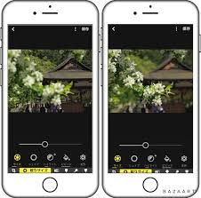 すっきりくっきり ピンボケ写真を鮮明に修正してくれるアプリ Smartdeblur くっきりんこ４ Easy Photo Unblur の驚異的な補正力