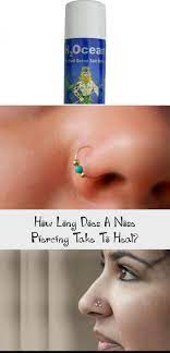 My Blog En Blog Nose Piercing Healing Nose Piercing Piercing